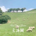 卖汤圆