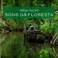 Meditação: Sons da Floresta
