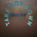 Harkaynian - Take You Down