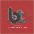 DJ Wolfox - Trip