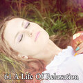 61 A Life of Relaxation