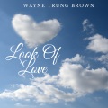 Wayne Trung Brown - Toy Soldiers