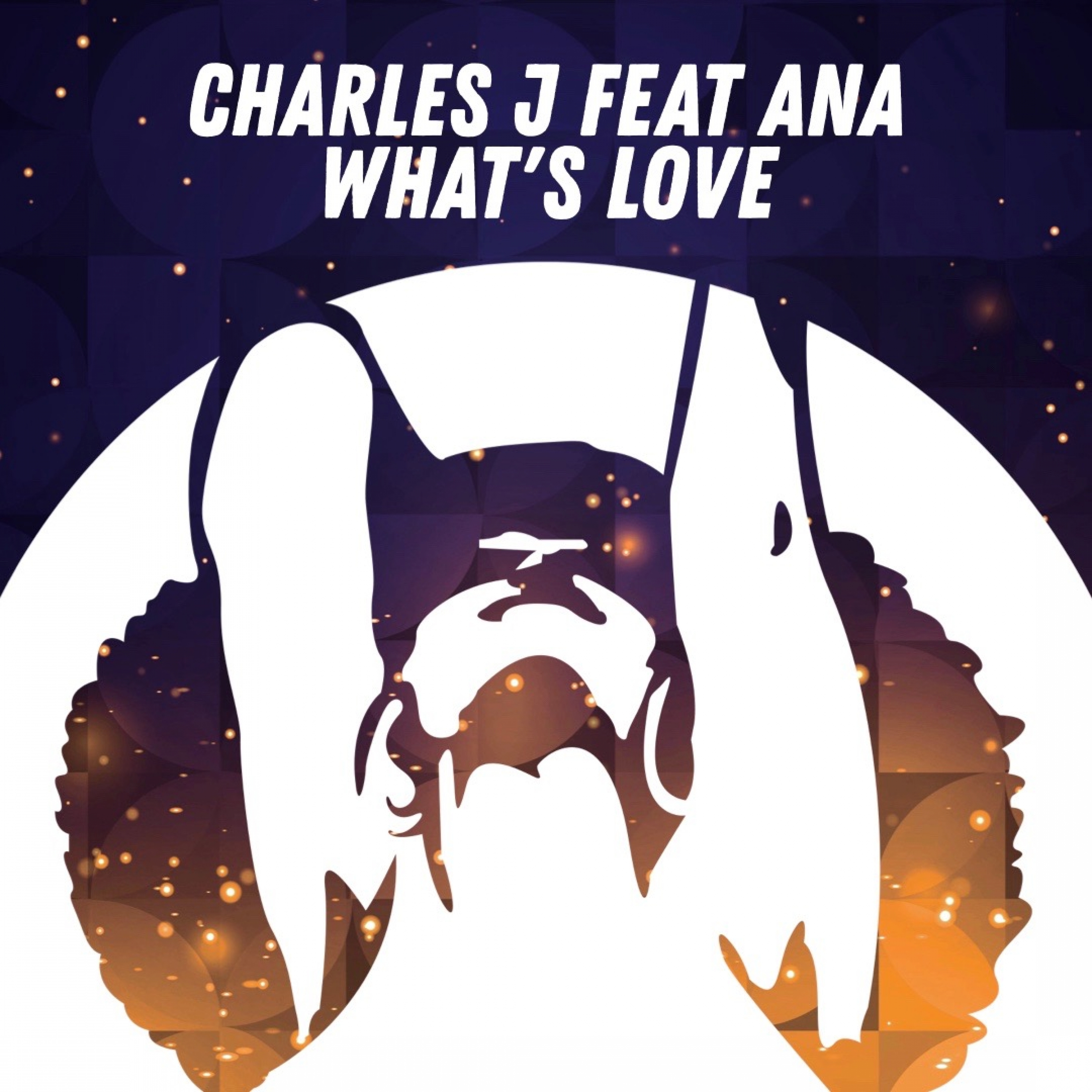 Charles J - What's Love (RadioMix)