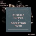 Dj Scale Ripper - Creatonotos Gangis Moth