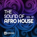 DJ Icebox、Slinkour - Ngeke Ung'shiye