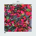 RONA (IL)、Da Africa Deep - Vibration (DaAfricaDeepRemix)