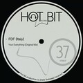 FDF - Your Everything (OriginalMix)
