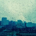 自然声带、自然之声保护区 - 森林雨