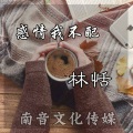 林恬、宸凉 - 感情我不配 (伴奏)