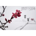 诗梦冬旭 - 苦等桃花十年
