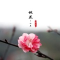 诗梦冬旭 - 桃花十年的誓言