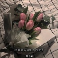 野马V - 十只兔子