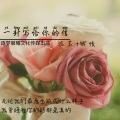 沈若、卿帻 - 一封写给你的信