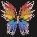 F.C.C - Butterflies (Explicit)