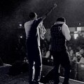 YBE、Marquise、True - Death Wish (Explicit)