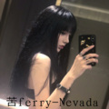 苦ferry - Nevada