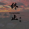 苏染 - 终止