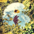 Baby Sleep Music、Musique pour dormir、Dormir Bien - Ocean Waves Crashing on Rocks