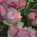 念子阳 - 花季