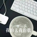 我的天我的歌 (Remix)