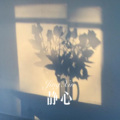静心