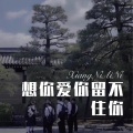 精彩成真 - Saint