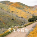 三哥 - 说不定明天他就来了