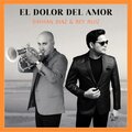 rey ruiz、Dayhan Díaz - El Dolor del Amor