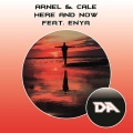 ARNEL、Cale - Here and Now