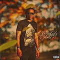 Peezy、Euro Pean - Step It Up (Explicit)