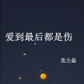 张小磊 - 从此我的世界里不会再有你