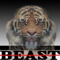 Beast (Explicit)