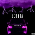 Trifecttta - Scotia