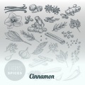 Cinnamon