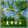 七言 - 锦城雾