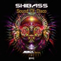 Sound Of Disco (Remix)