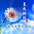 九黎如嫣 - 飞舞 (DJ版)