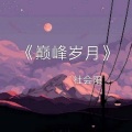 社会阳 - 巅峰岁月