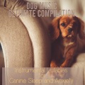 Dog Music Therapy、Dog Music Dreams、Relaxmydog - Dog music