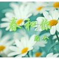 顾兮 - 春和你