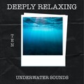 Sleep Radiance - Underwater Sound Device