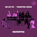 Ian Kay HQ、Toadstool Ngema - Orchestra (Original Mix)