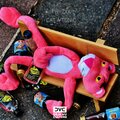 PHYZXX - Cat À Tonic