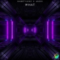 Rnbstylerz、Arees、Paweł Turski - WHAT