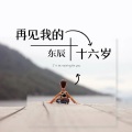 东辰 - 再见我的十六岁