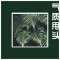 肖宇帆 - 气质甩头 (Remix)