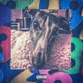 Zilla F. Baby、june.you.are、Vaughn - Numbaz (Explicit)