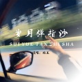 楠王 - 岁月弹指沙