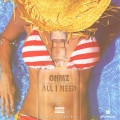 Ohmz The Don - All I Need (Explicit)