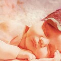 Hush Little Baby - Lavender's Blue